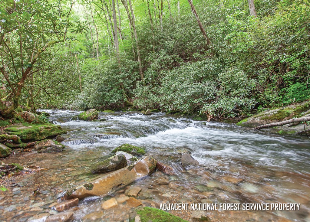 399 Shell Stand Road, ALMOND, North Carolina image 21
