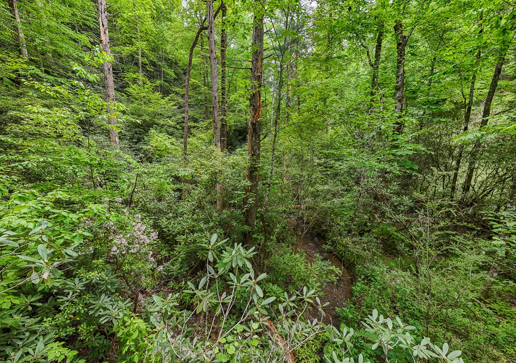 399 Shell Stand Road, ALMOND, North Carolina image 9