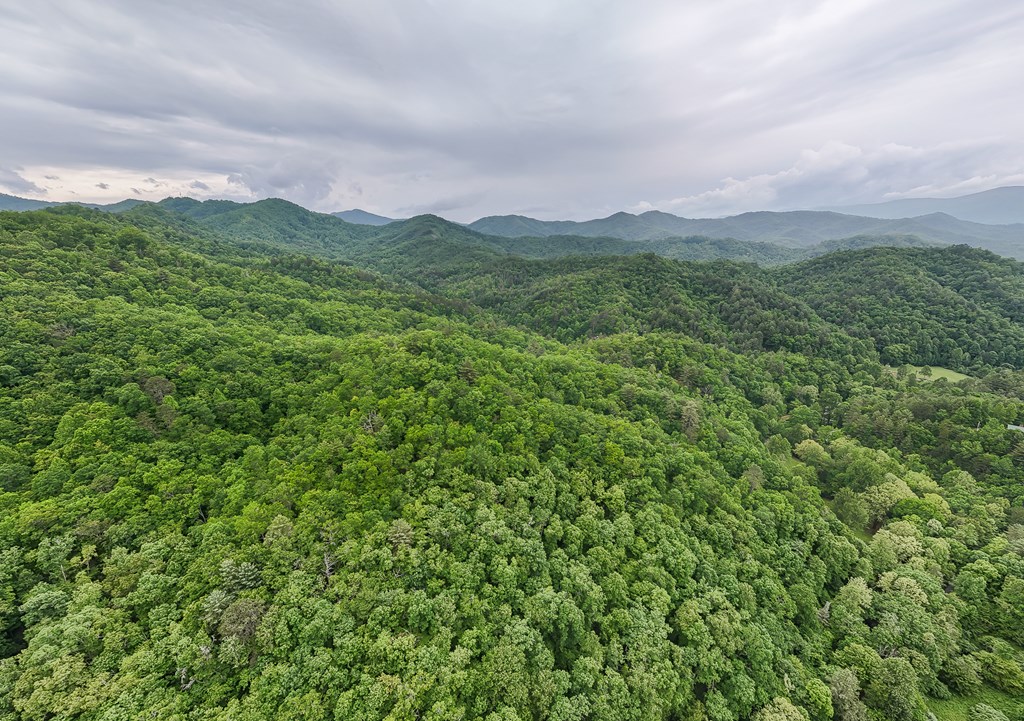 399 Shell Stand Road, ALMOND, North Carolina image 14