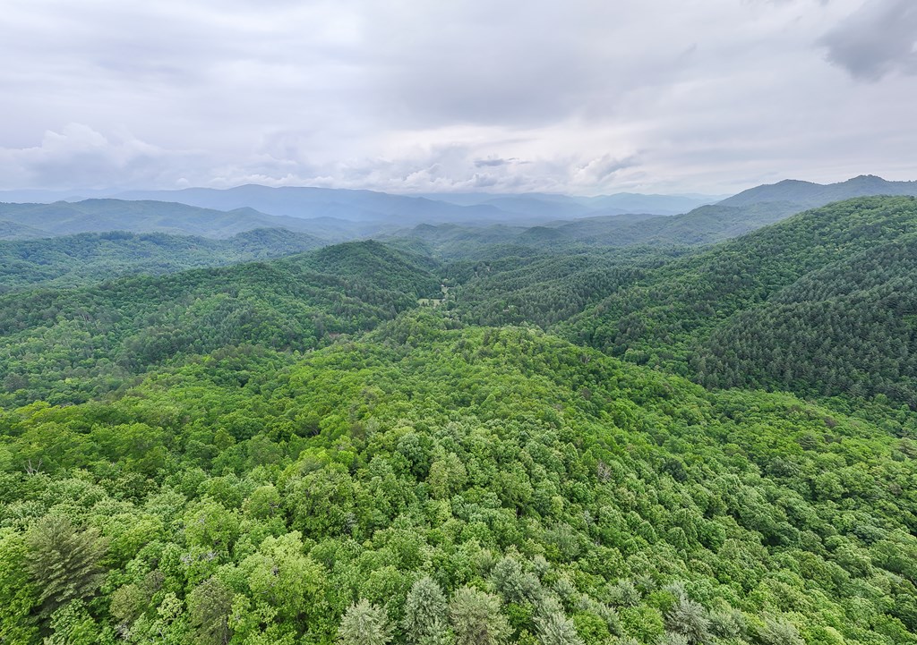 399 Shell Stand Road, ALMOND, North Carolina image 13