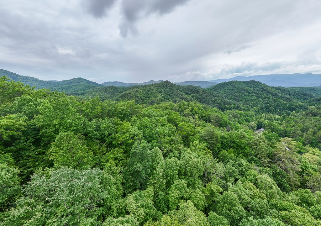 399 Shell Stand Road, ALMOND, North Carolina image 7