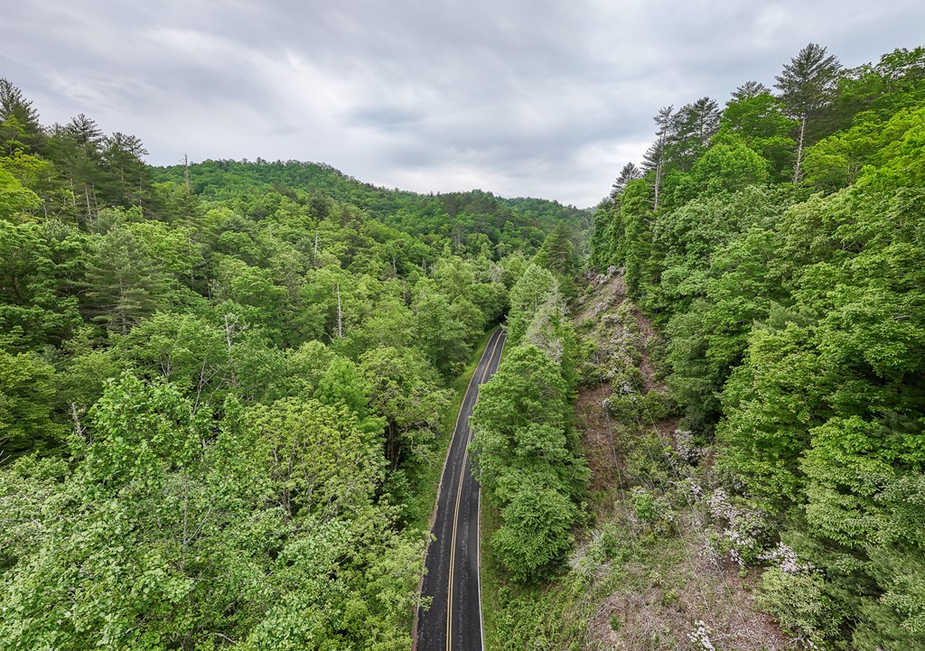 399 Shell Stand Road, ALMOND, North Carolina image 17
