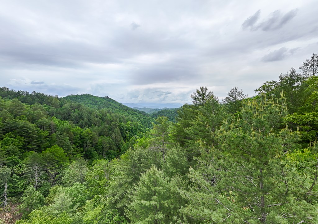 399 Shell Stand Road, ALMOND, North Carolina image 18