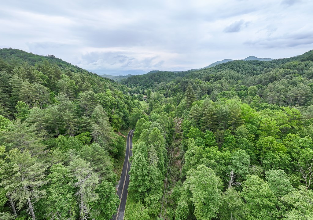 399 Shell Stand Road, ALMOND, North Carolina image 16