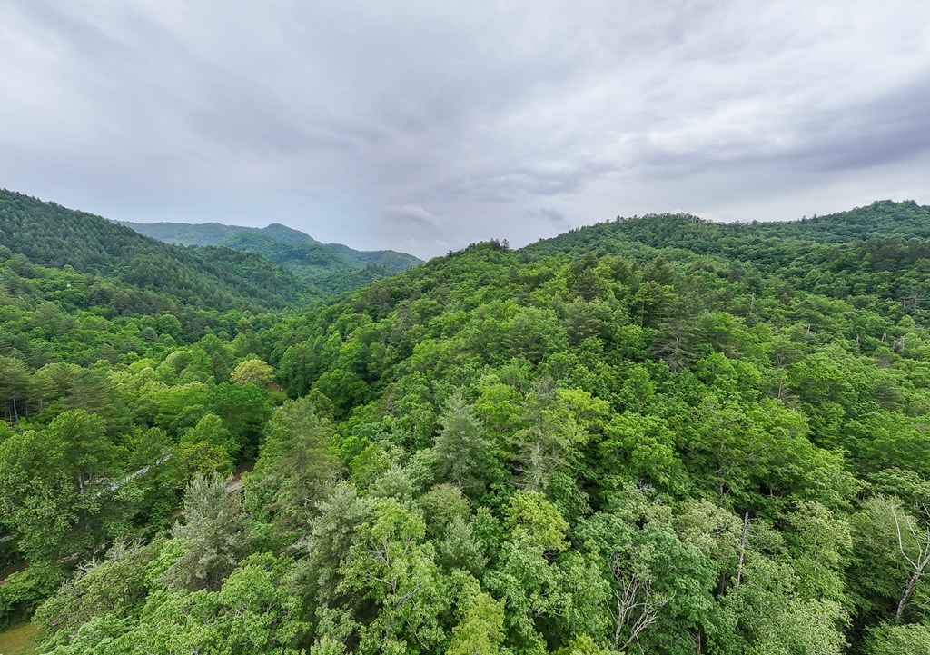 399 Shell Stand Road, ALMOND, North Carolina image 11
