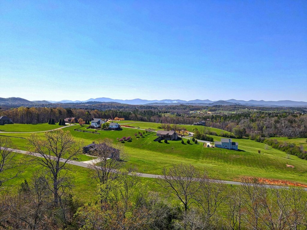 Lot 61 Cedar Glen #61, BLAIRSVILLE, Georgia image 11