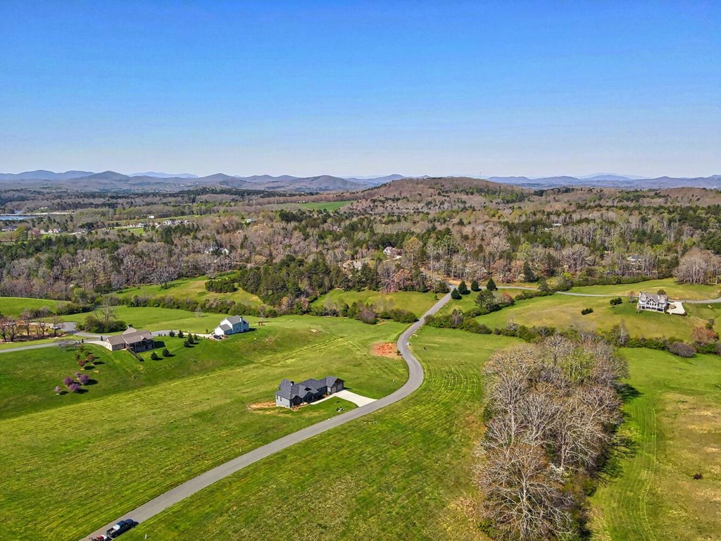 Lot 61 Cedar Glen #61, BLAIRSVILLE, Georgia image 4