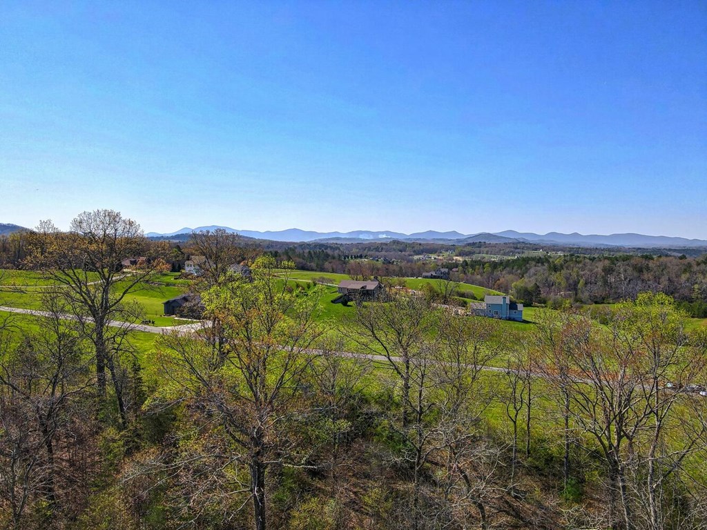 Lot 61 Cedar Glen #61, BLAIRSVILLE, Georgia image 10