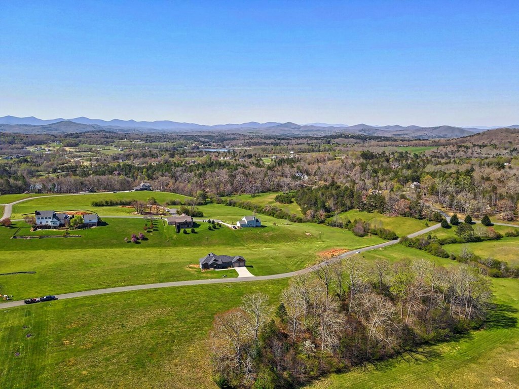 Lot 61 Cedar Glen #61, BLAIRSVILLE, Georgia image 5