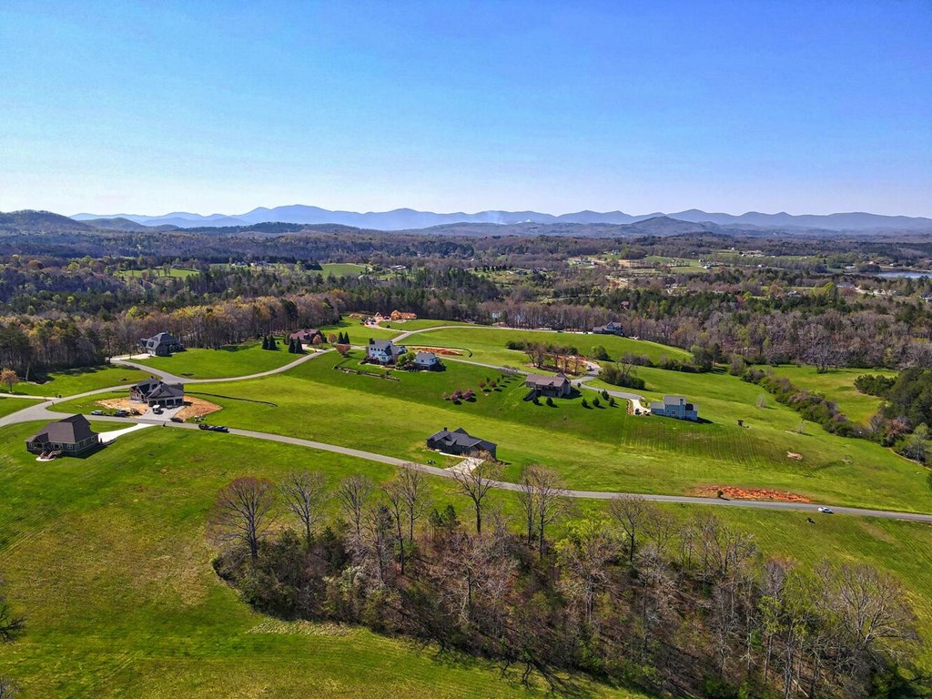 Lot 61 Cedar Glen #61, BLAIRSVILLE, Georgia image 8