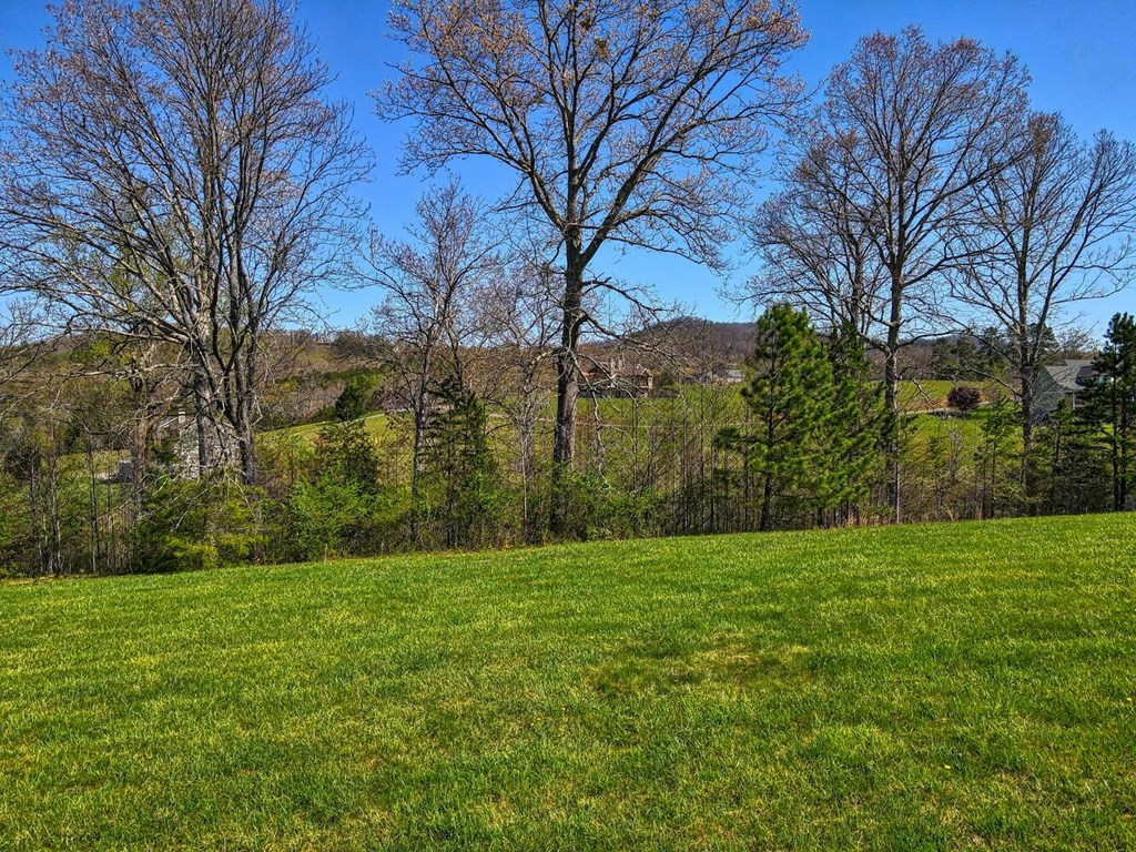 Lot 61 Cedar Glen #61, BLAIRSVILLE, Georgia image 14