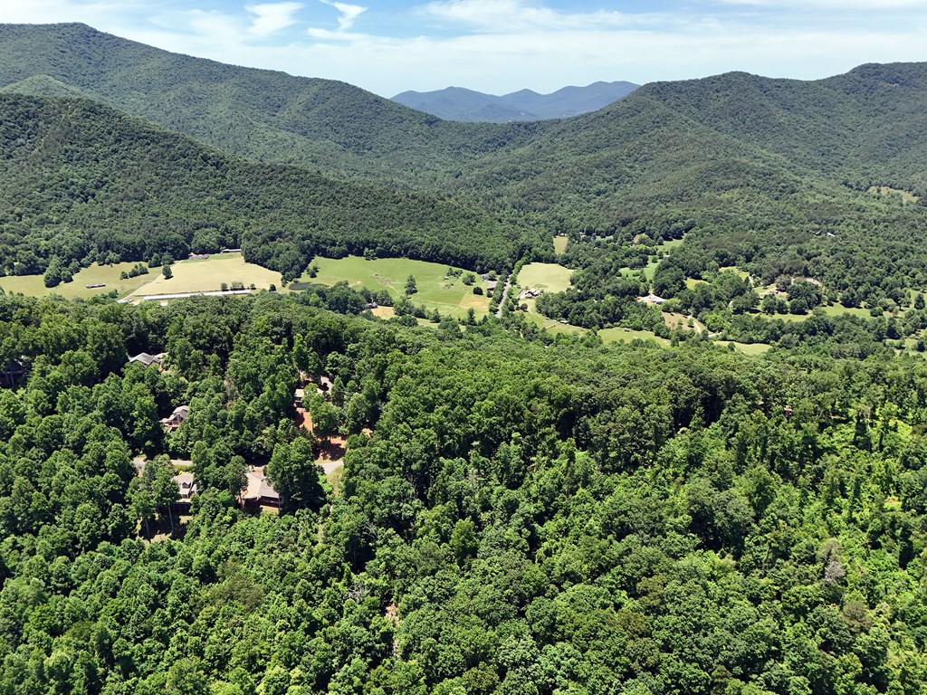 Lot 10 Hidden Summit #10, HIAWASSEE, Georgia image 23