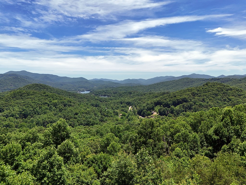 Lot 10 Hidden Summit #10, HIAWASSEE, Georgia image 10