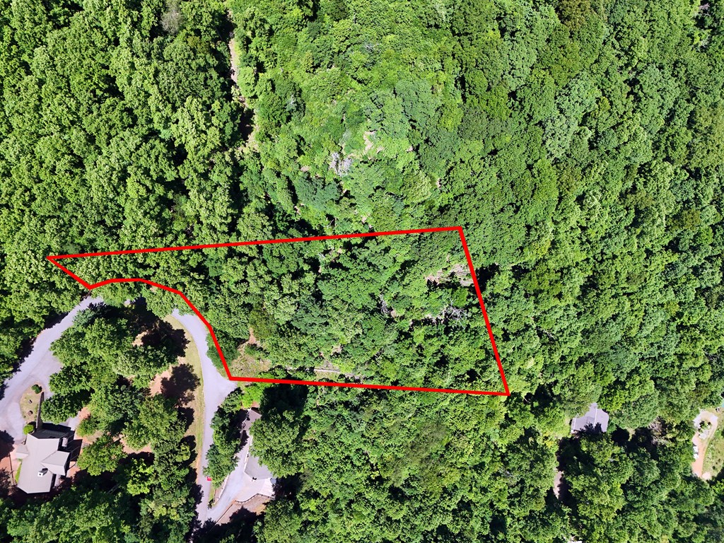 Lot 10 Hidden Summit #10, HIAWASSEE, Georgia image 8