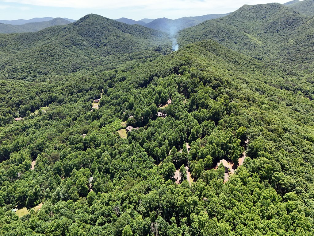 Lot 10 Hidden Summit #10, HIAWASSEE, Georgia image 21