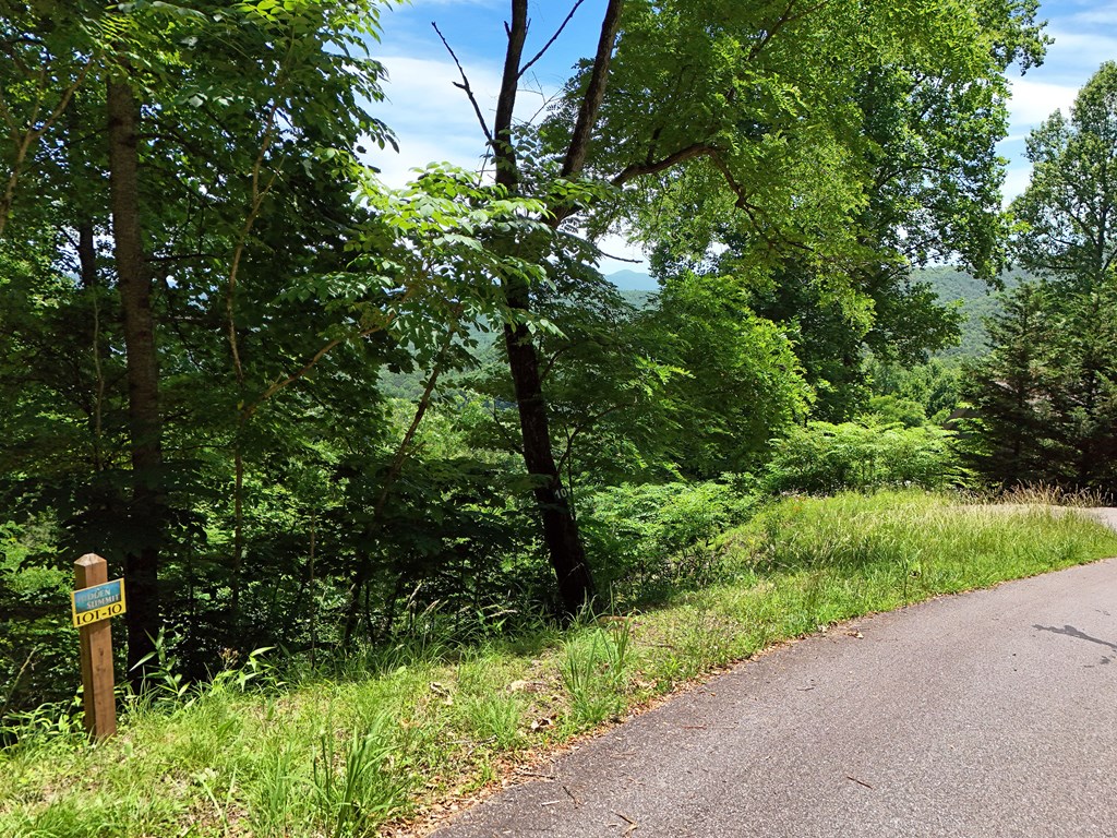 Lot 10 Hidden Summit #10, HIAWASSEE, Georgia image 6