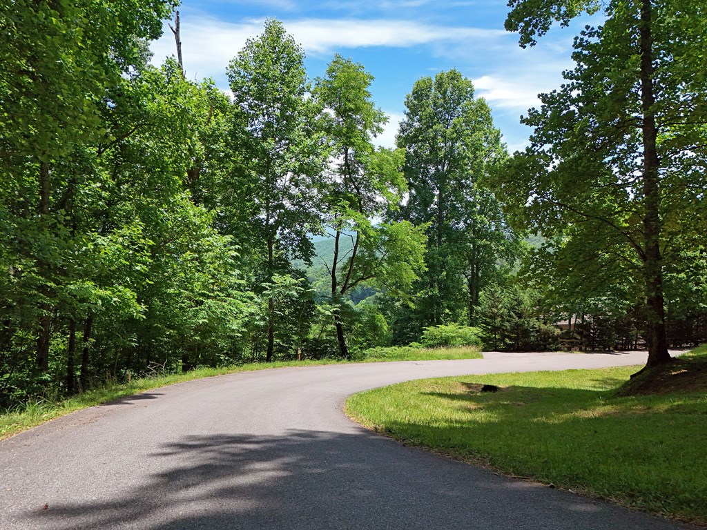 Lot 10 Hidden Summit #10, HIAWASSEE, Georgia image 5