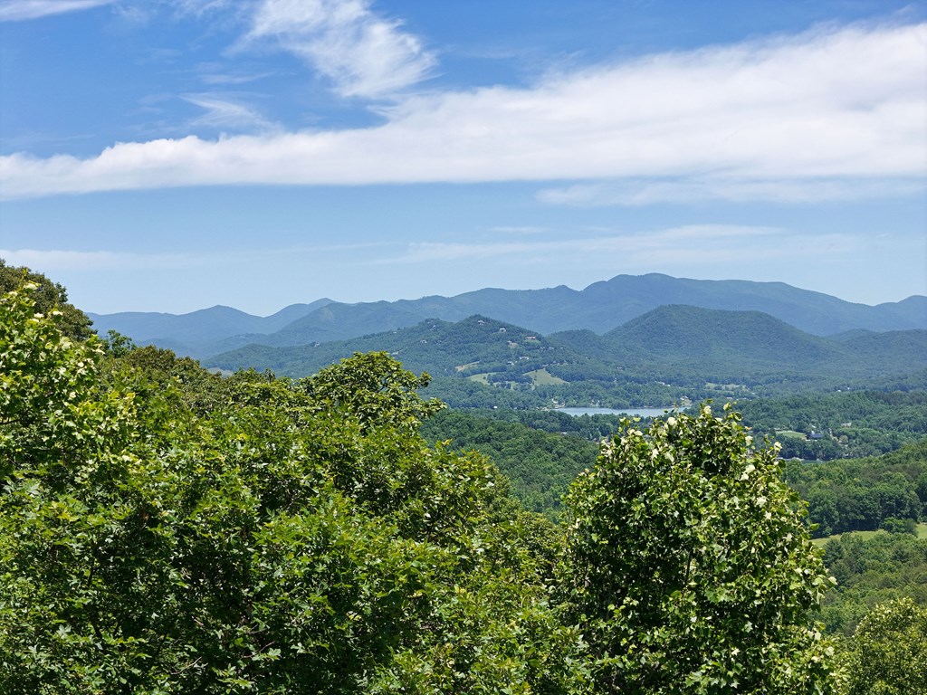 Lot 10 Hidden Summit #10, HIAWASSEE, Georgia image 12