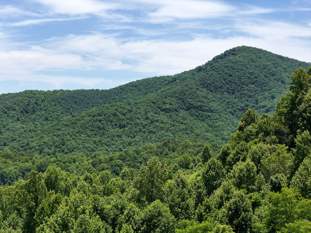 Lot 10 Hidden Summit #10, HIAWASSEE, Georgia image 16