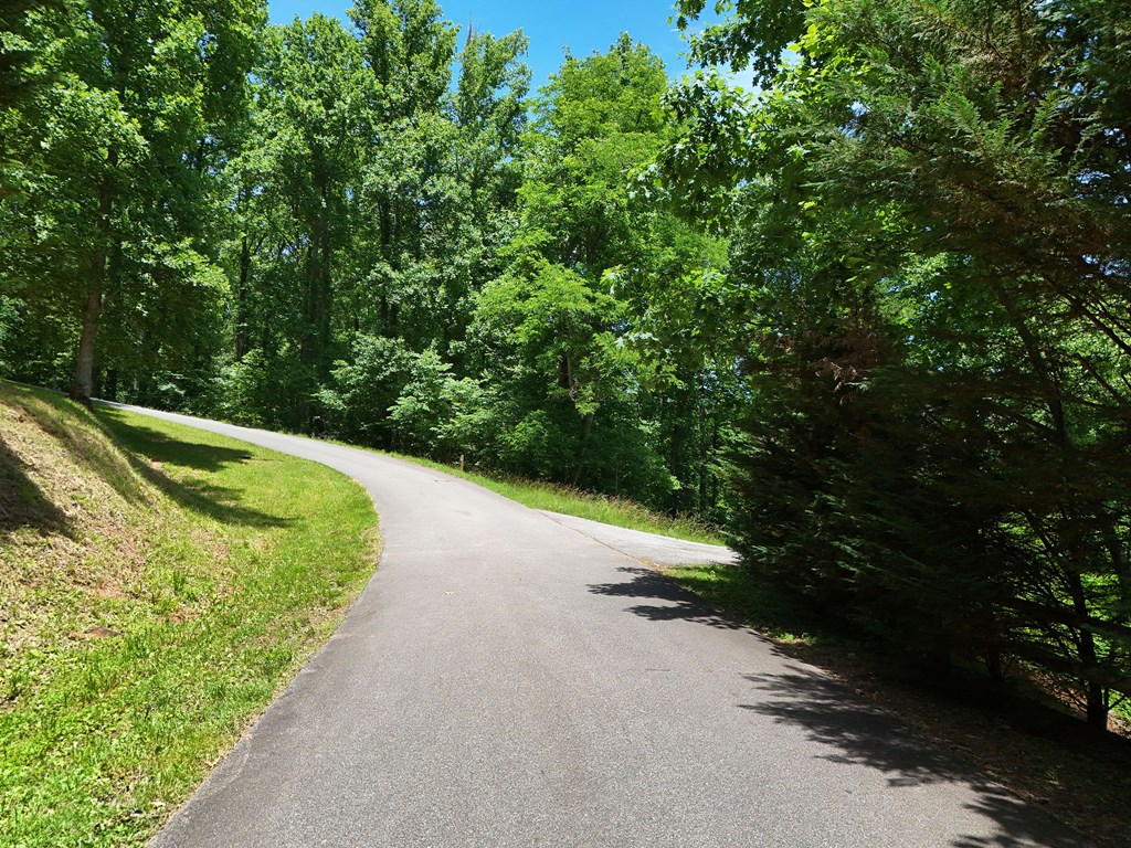 Lot 10 Hidden Summit #10, HIAWASSEE, Georgia image 4