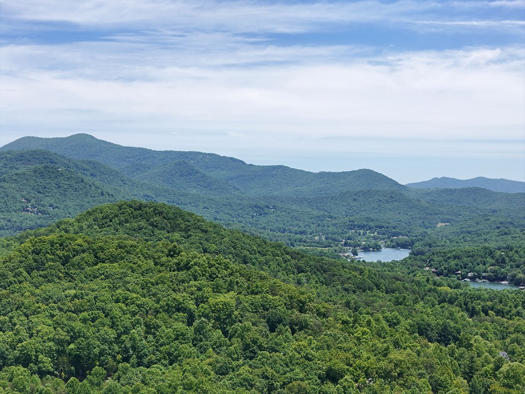 Lot 10 Hidden Summit #10, HIAWASSEE, Georgia image 14