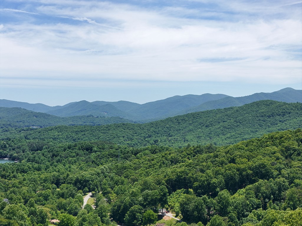 Lot 10 Hidden Summit #10, HIAWASSEE, Georgia image 15