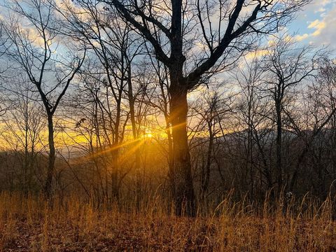 Vacant Land For Sale - 00 Aster Trl #36<br/> MARBLE, NC 28905