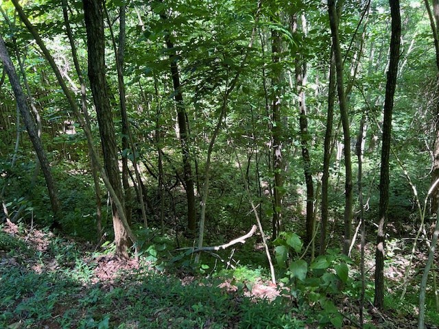 Lot 40 Overlook At Young Harris #40, YOUNG HARRIS, Georgia image 4