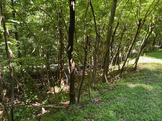 Lot 40 Overlook At Young Harris #40, YOUNG HARRIS, Georgia image 11