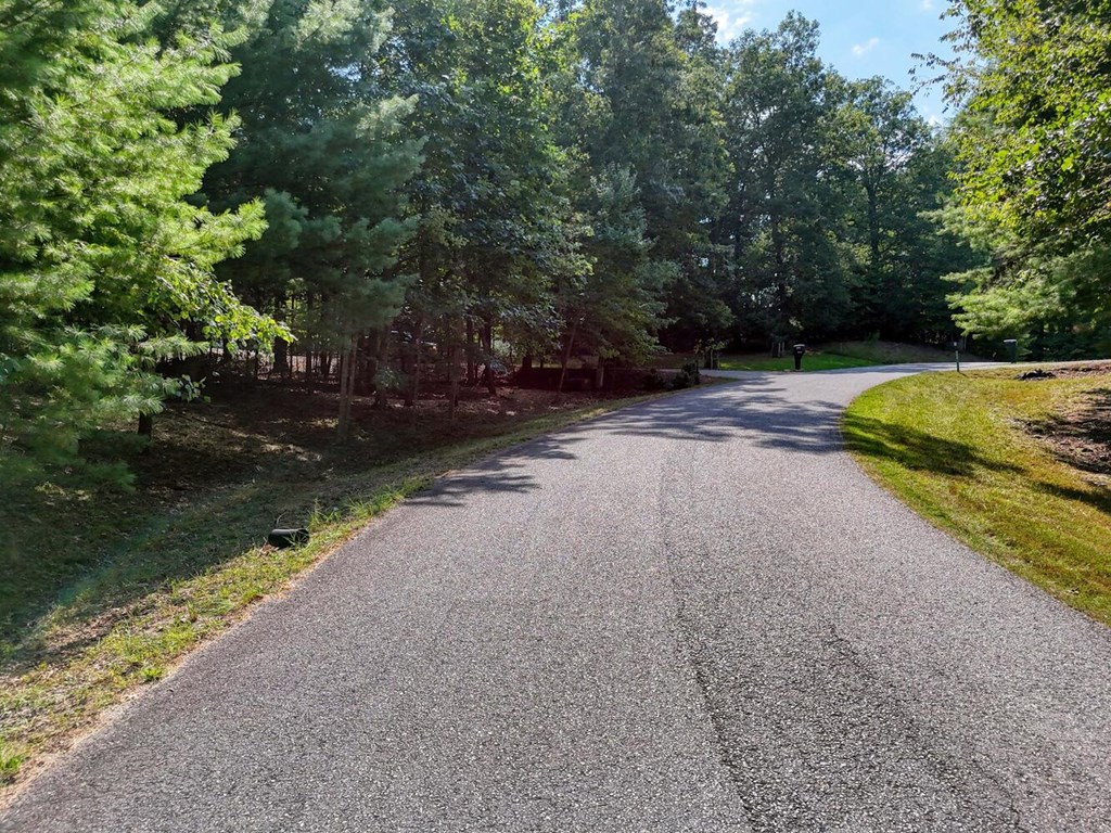 Lot 42 Arrowood Pointe #42, BLAIRSVILLE, Georgia image 16