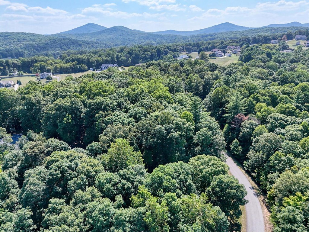 Lot 42 Arrowood Pointe #42, BLAIRSVILLE, Georgia image 15