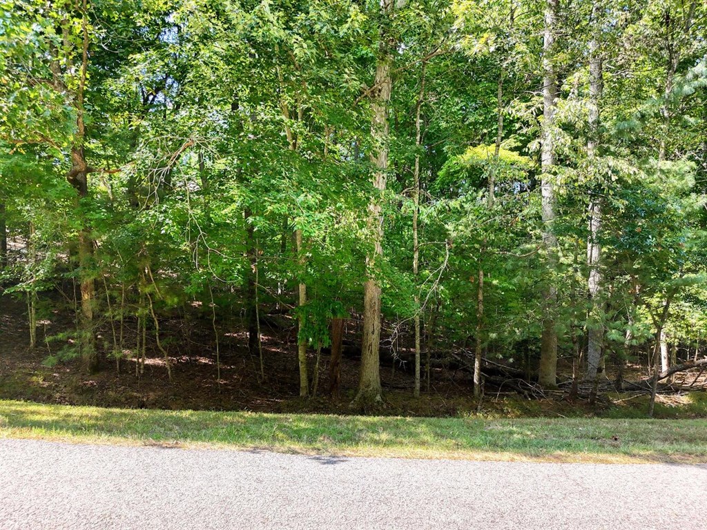 Lot 42 Arrowood Pointe #42, BLAIRSVILLE, Georgia image 3