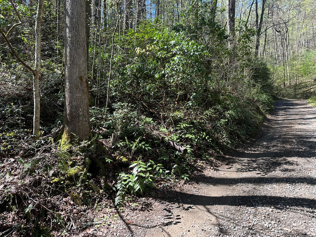 TBD Trail Road #TBD, MURPHY, North Carolina image 9