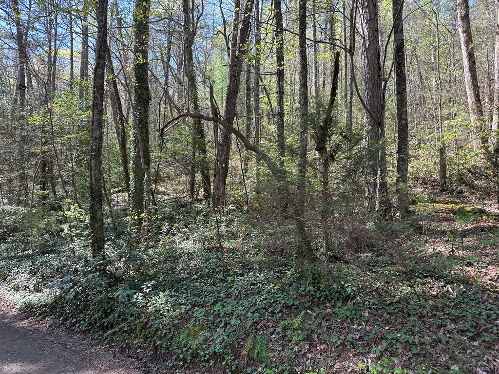 TBD Trail Road #TBD, MURPHY, North Carolina image 3