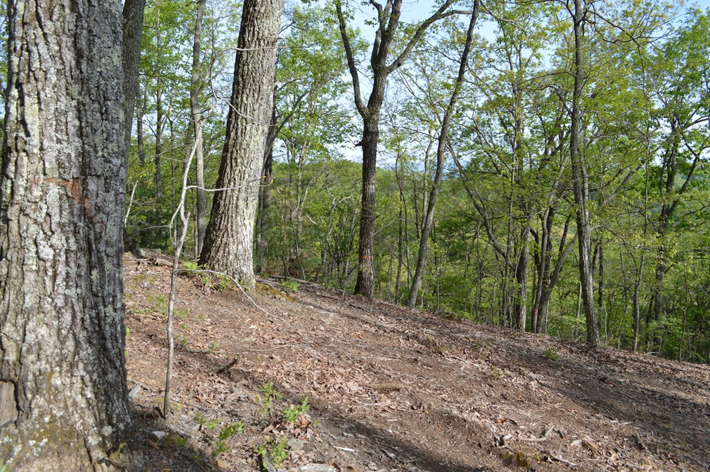 LT 19 North Ridge Trail #19, BRASSTOWN, North Carolina image 3