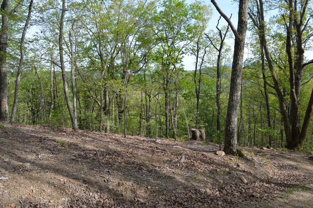 LT 19 North Ridge Trail #19, BRASSTOWN, North Carolina image 6