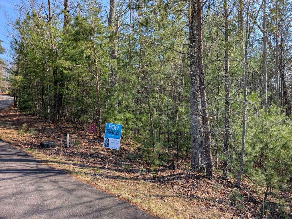 Flowing Springs Dr #2, MURPHY, North Carolina image 3
