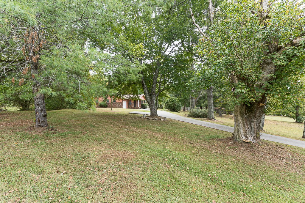 344 Wingate Rd, MURPHY, North Carolina image 37