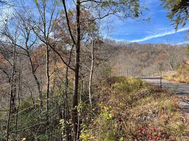 Lot 19 The Highlands At Hightower Ridge #19, HIAWASSEE, Georgia image 6