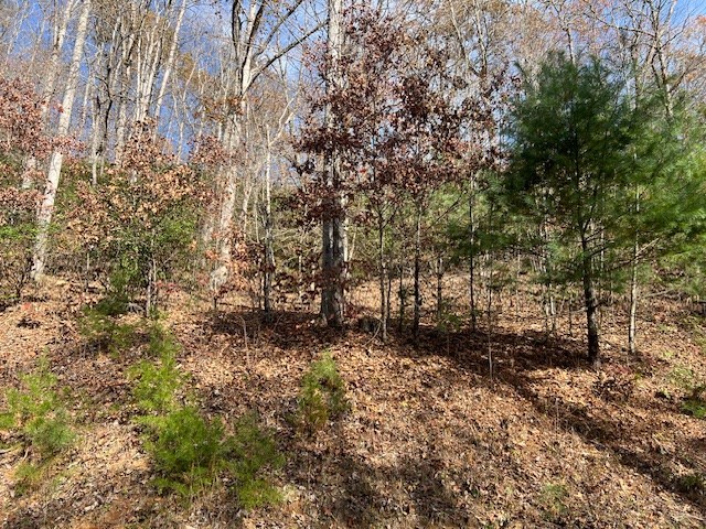 Lot 19 The Highlands At Hightower Ridge #19, HIAWASSEE, Georgia image 7