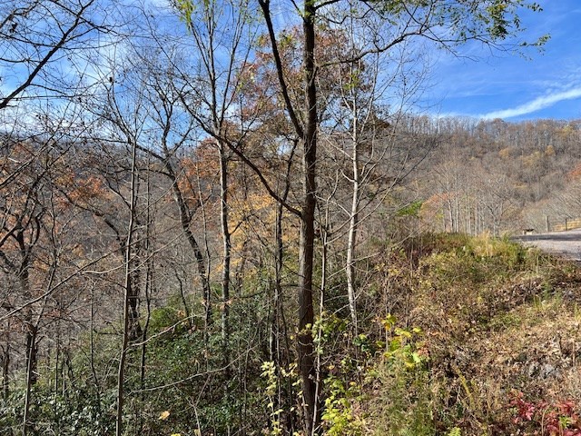 Lot 19 The Highlands At Hightower Ridge #19, HIAWASSEE, Georgia image 5