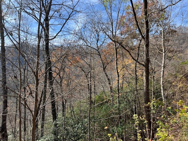 Lot 19 The Highlands At Hightower Ridge #19, HIAWASSEE, Georgia image 3