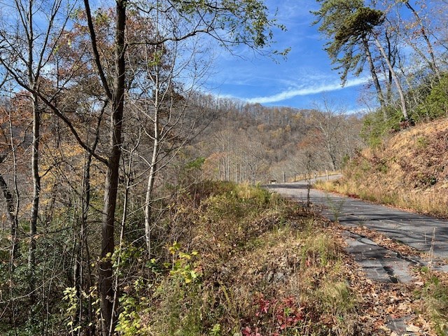 Lot 19 The Highlands At Hightower Ridge #19, HIAWASSEE, Georgia image 8