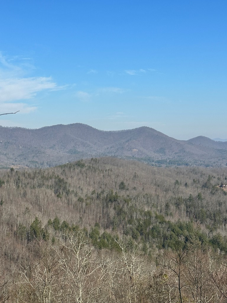 Lot 85 Vance Mountain Tr #85, MURPHY, North Carolina image 2