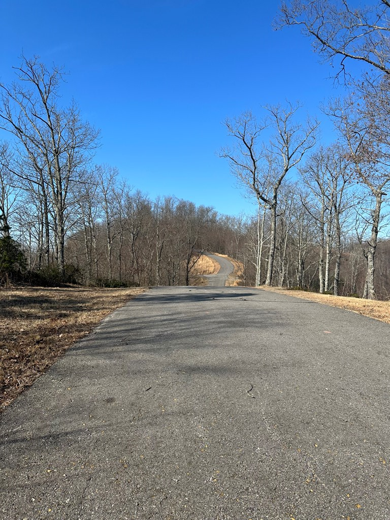 Lot 85 Vance Mountain Tr #85, MURPHY, North Carolina image 8