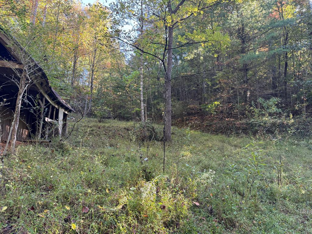 00 Rocky Creek Road, ANDREWS, North Carolina image 1