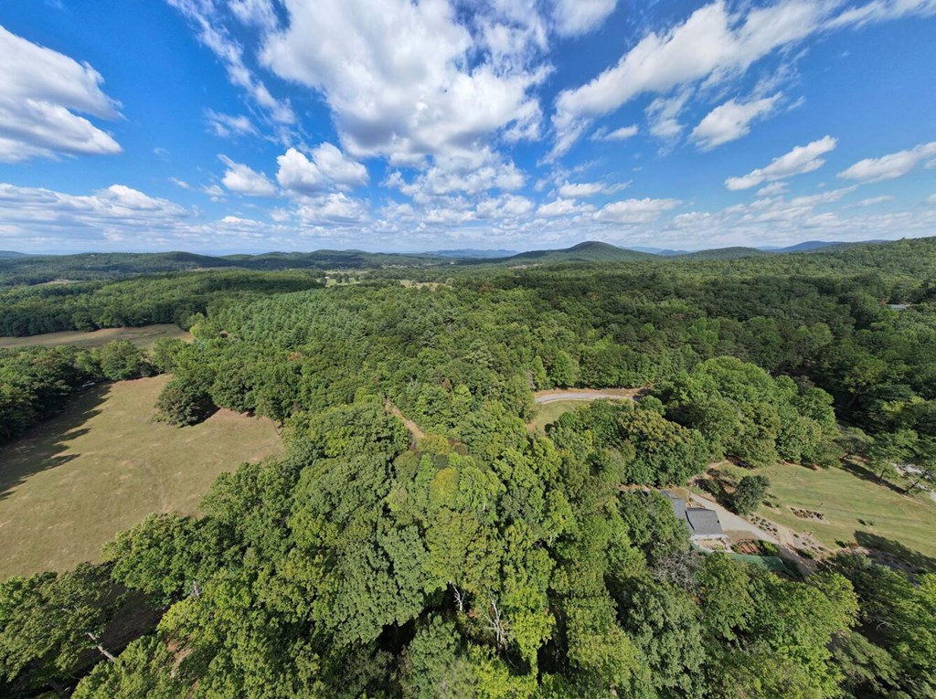 19.5AC Mason Road, BLAIRSVILLE, Georgia image 7