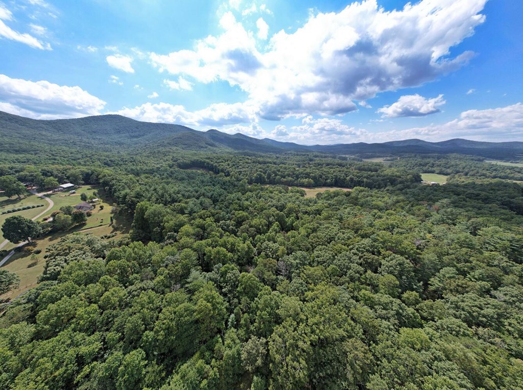 19.5AC Mason Road, BLAIRSVILLE, Georgia image 13