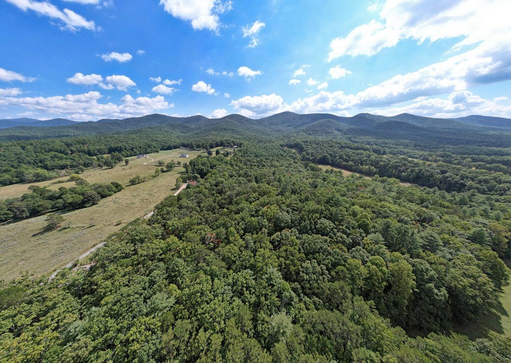 19.5AC Mason Road, BLAIRSVILLE, Georgia image 11