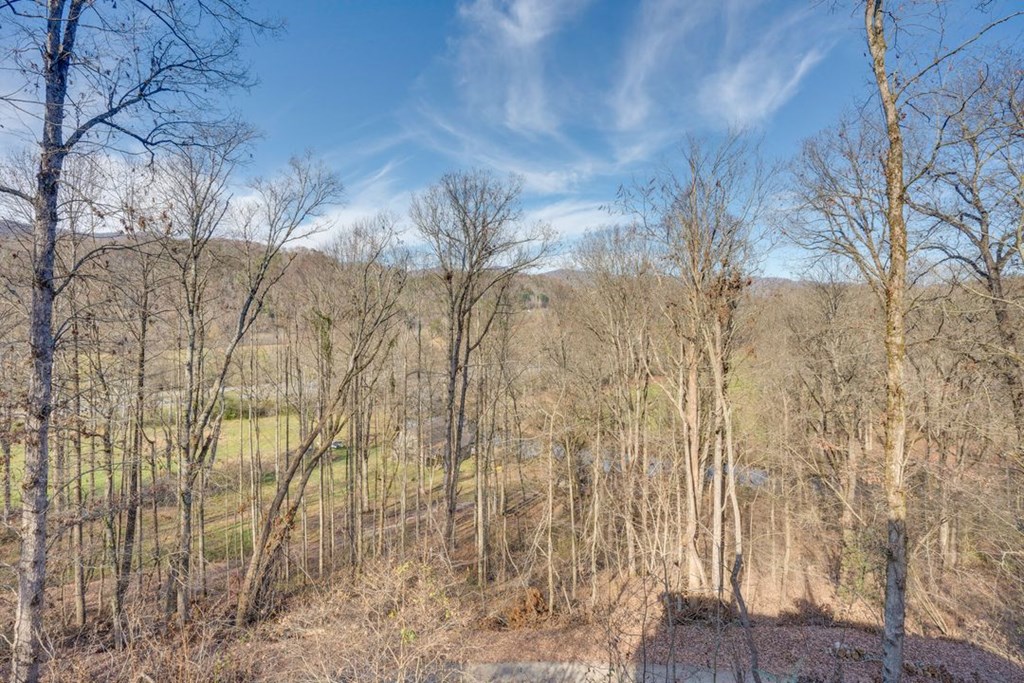 38 Smoky Mtn Ridge, MARBLE, North Carolina image 28